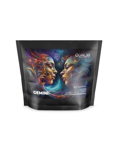 Kawa ziarnista Qualia Coffee Roasters Gemini (Bliźnięta) Limited Edition - Espresso 250 g